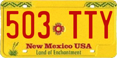 NM license plate 503TTY
