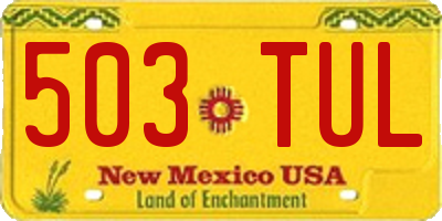 NM license plate 503TUL