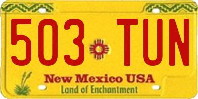 NM license plate 503TUN