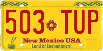 NM license plate 503TUP