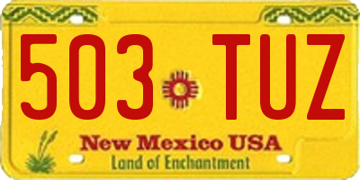 NM license plate 503TUZ