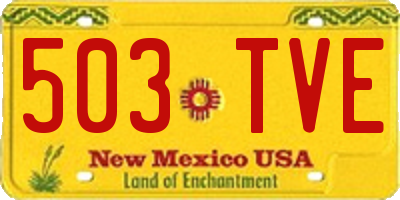 NM license plate 503TVE