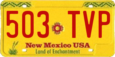 NM license plate 503TVP