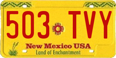 NM license plate 503TVY