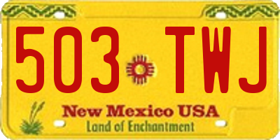 NM license plate 503TWJ