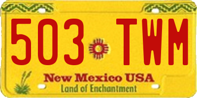 NM license plate 503TWM