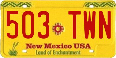 NM license plate 503TWN
