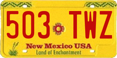 NM license plate 503TWZ