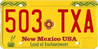 NM license plate 503TXA