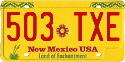NM license plate 503TXE