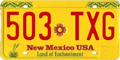 NM license plate 503TXG