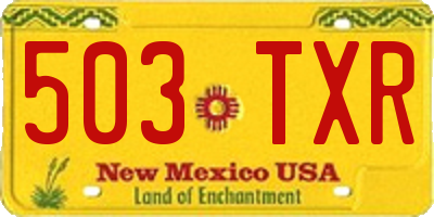 NM license plate 503TXR