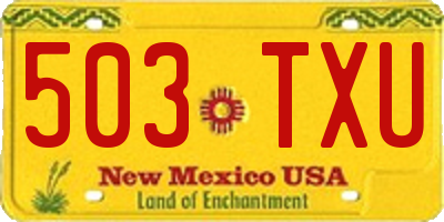 NM license plate 503TXU