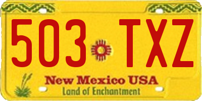 NM license plate 503TXZ