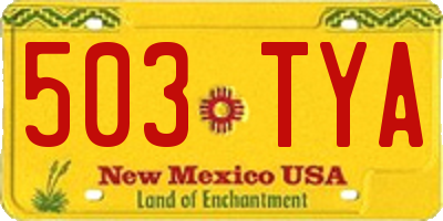 NM license plate 503TYA
