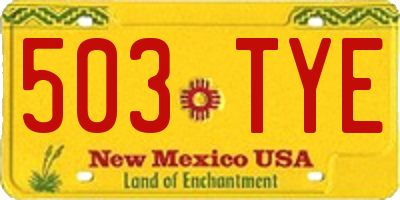 NM license plate 503TYE
