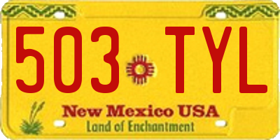 NM license plate 503TYL