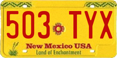 NM license plate 503TYX