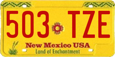 NM license plate 503TZE
