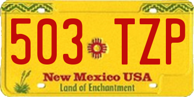 NM license plate 503TZP