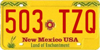 NM license plate 503TZQ