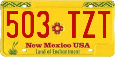 NM license plate 503TZT