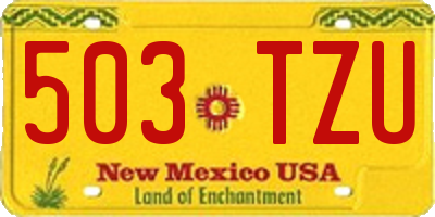 NM license plate 503TZU