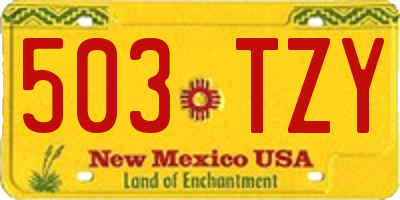 NM license plate 503TZY