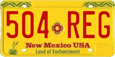 NM license plate 504REG