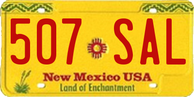 NM license plate 507SAL