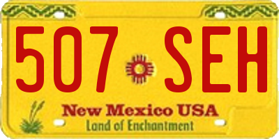 NM license plate 507SEH
