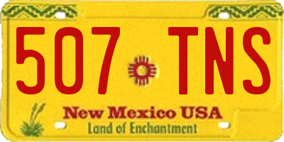 NM license plate 507TNS