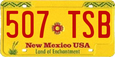 NM license plate 507TSB