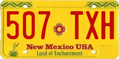 NM license plate 507TXH