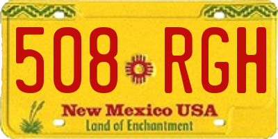 NM license plate 508RGH