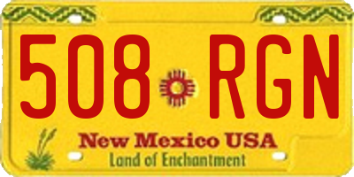 NM license plate 508RGN