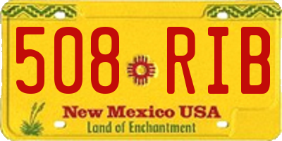 NM license plate 508RIB