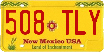 NM license plate 508TLY