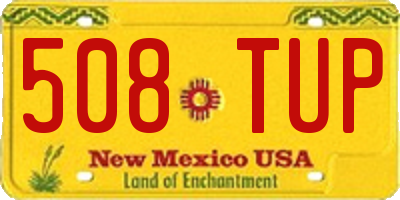 NM license plate 508TUP