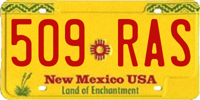 NM license plate 509RAS