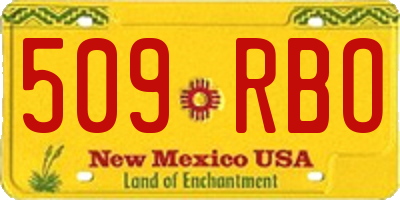 NM license plate 509RBO