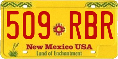 NM license plate 509RBR