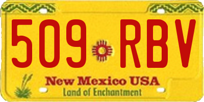 NM license plate 509RBV