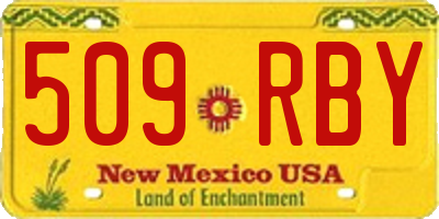 NM license plate 509RBY