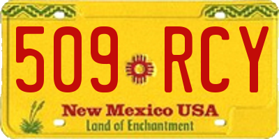 NM license plate 509RCY
