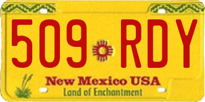 NM license plate 509RDY