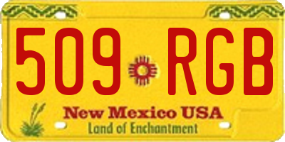 NM license plate 509RGB