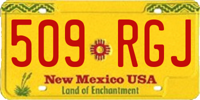 NM license plate 509RGJ