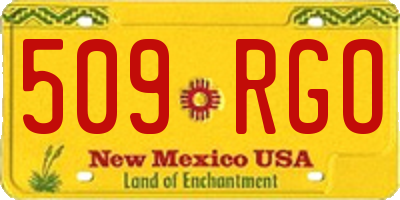 NM license plate 509RGO