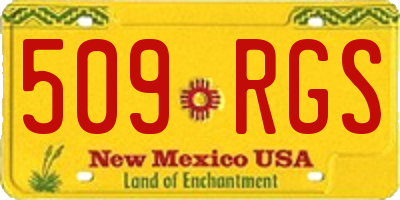 NM license plate 509RGS